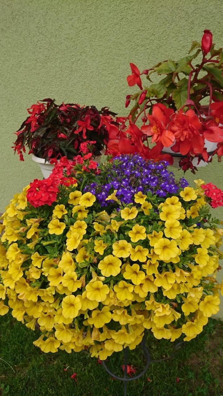 Holiday Home Noras Nams Cēsis Екстериор снимка